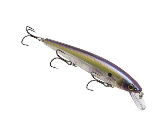 hckvdj300e-335_kvdelite300_protnshad2_main