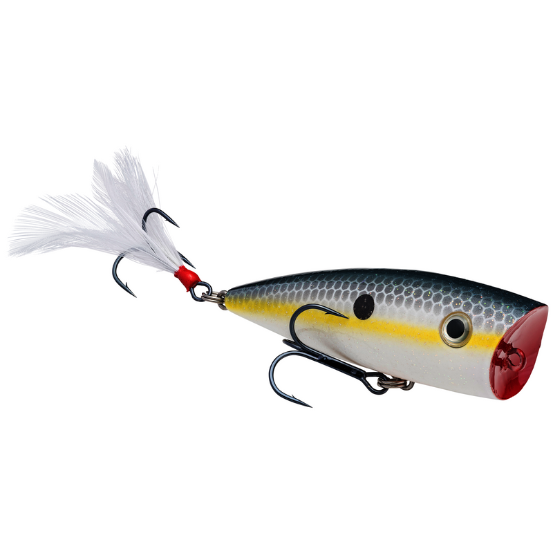 hckvdspl-590_kvdsplash_sexyshad_glamright2