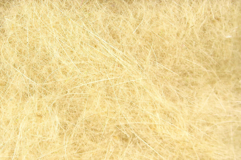 hd1