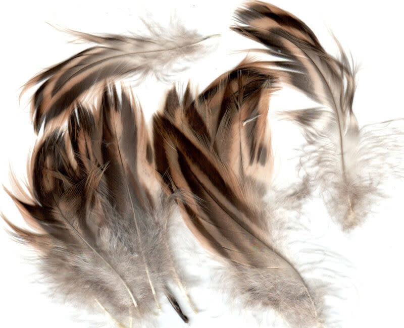 Hareline Hen Mallard Feathers