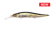 ht_ito_tennessee_shad