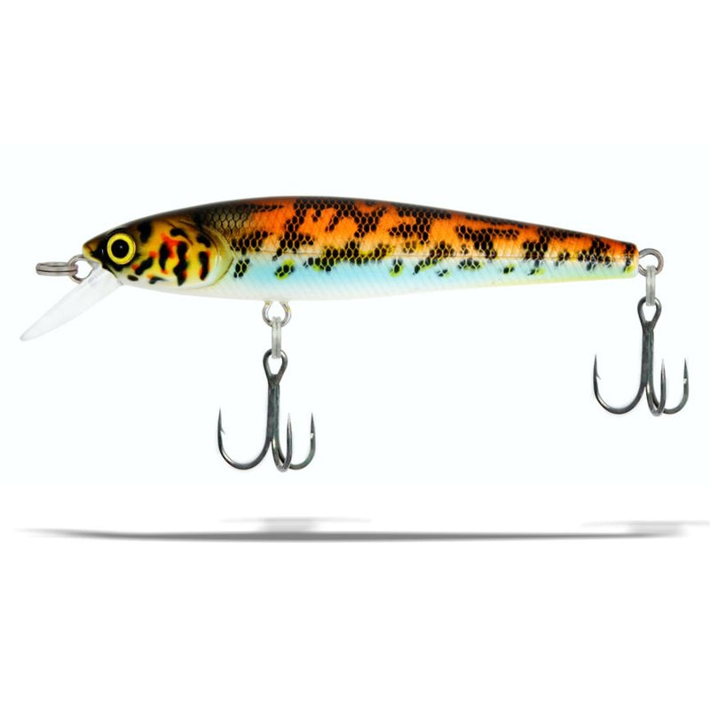 J-Spec-Goby