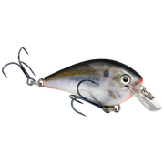 kvd 1.0 nat shad