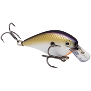 kvd 1.0 tennessee shad 2.0