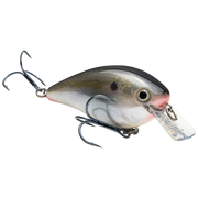 kvd 2.5 sb nat shad