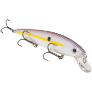 kvd 4.75 chart shad