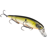 kvd 4.75 silver tn shad