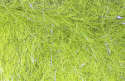 laser dub olive