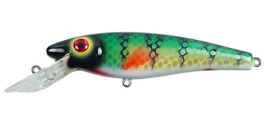 Musky Mania Li'l Ernie