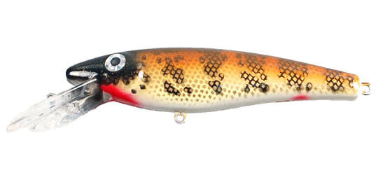 Musky Mania Li'l Ernie