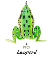 leopard