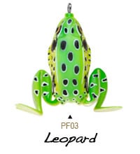 leopard
