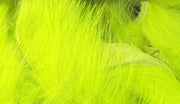 magnum fl. yellow chart