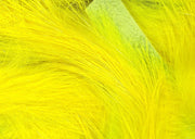 magnum yellow