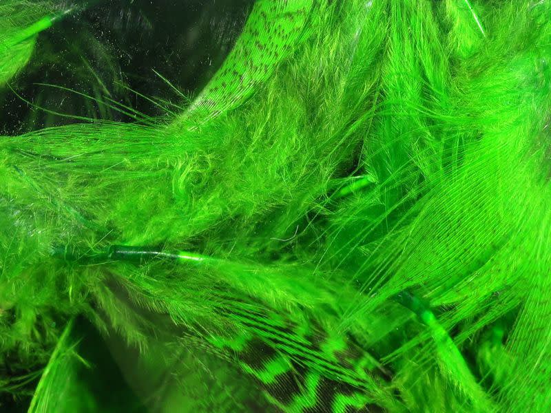 mallard bright green