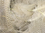 mallard natural