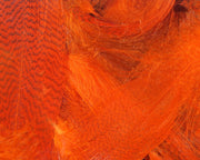 mallard orange