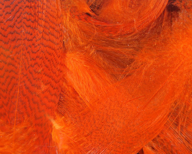 mallard orange