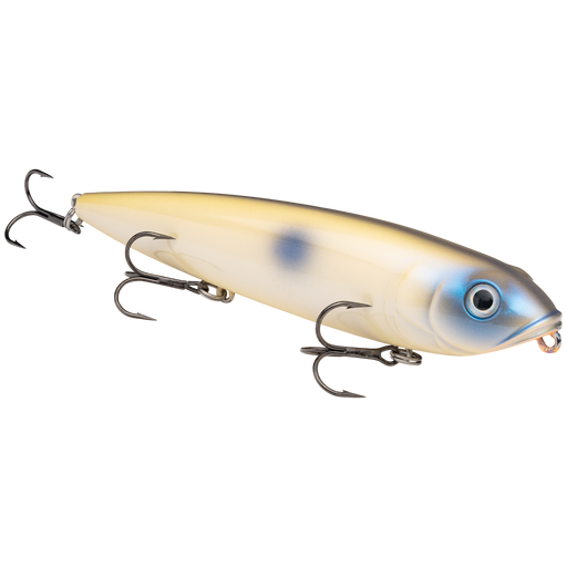 mega dawg oyster