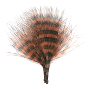 mfc-barred-marabou-brown-barred-black
