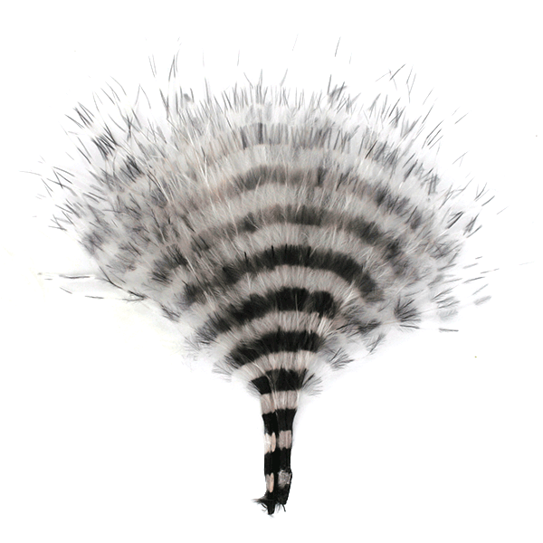 mfc-barred-marabou-white-black-barred