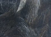 mic11