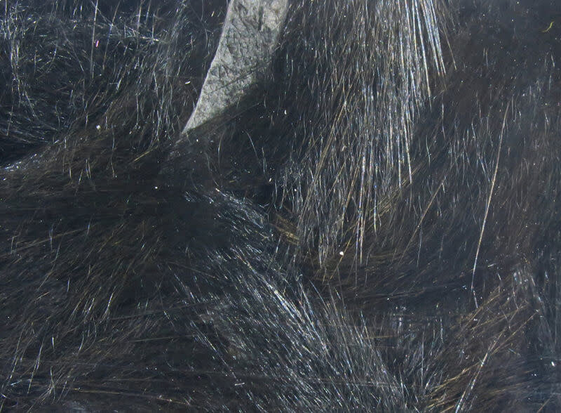 mic11