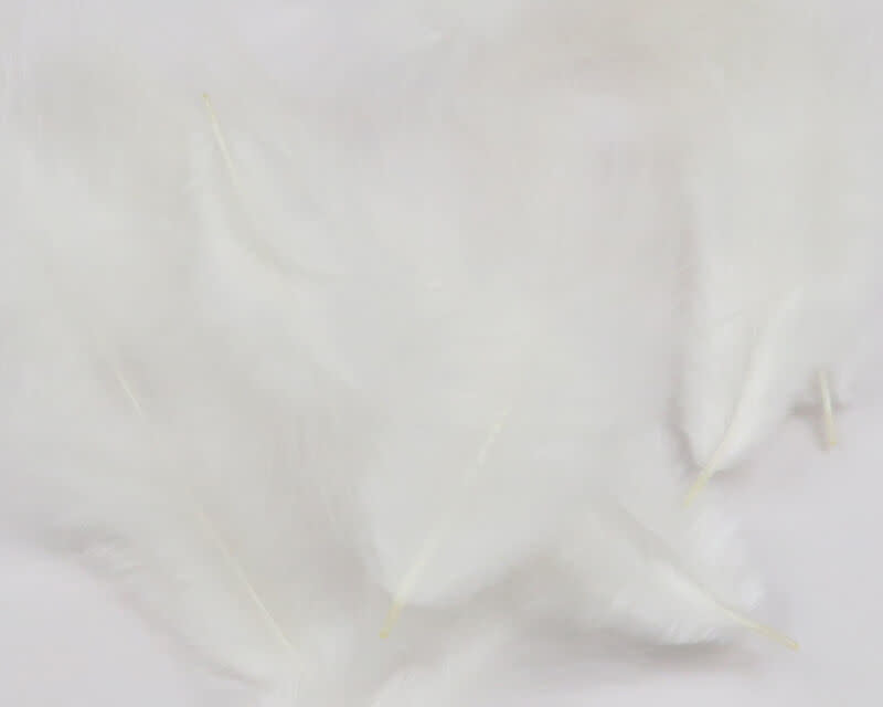 MM377