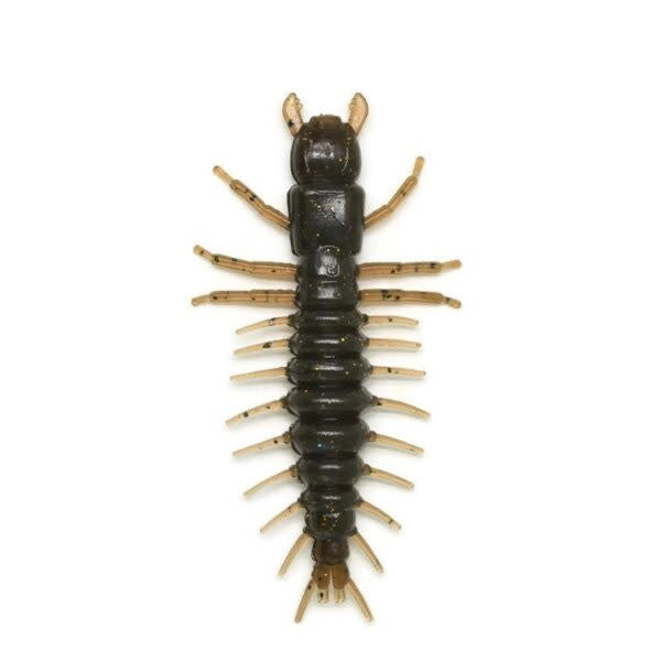 mudbug-800-600x600