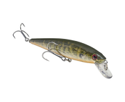 natural bream