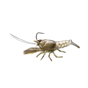 naturalcraw