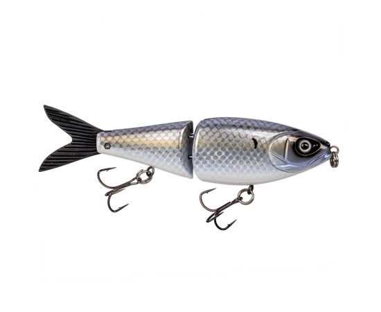 OGGizzardshad