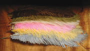 ostrich herl