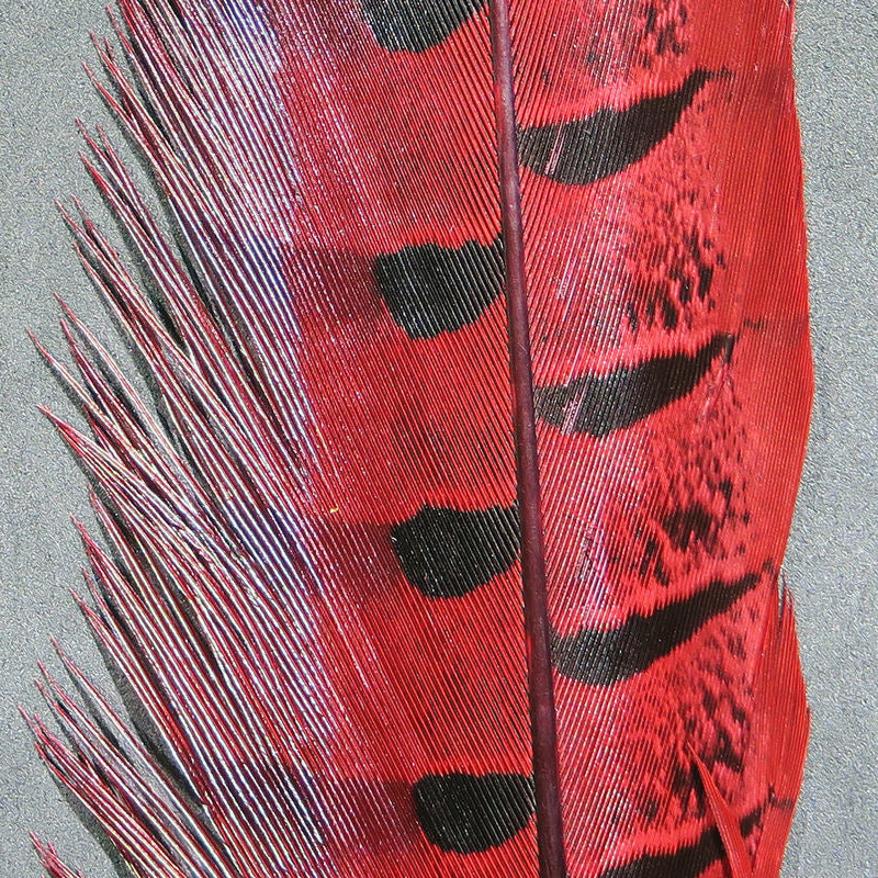 ph red