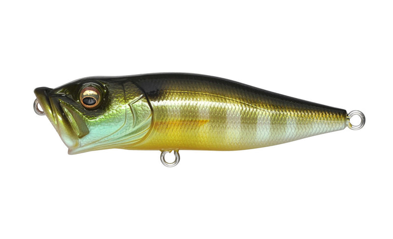 POP-X_-_GILL