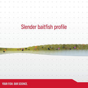 PowerBaitMaxScentFlatWorm_Gobyashi_info1
