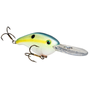 pro model series 6 chart sexy shad