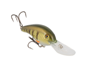 pro phantom perch