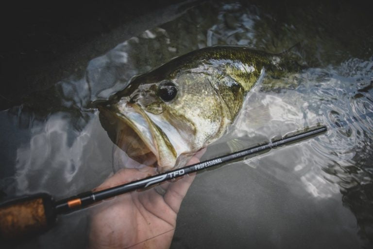 TFO Professional Casting Rods
