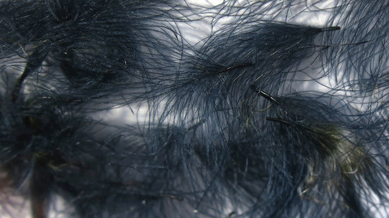 puff black