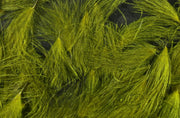 puff olive