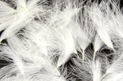 puff white