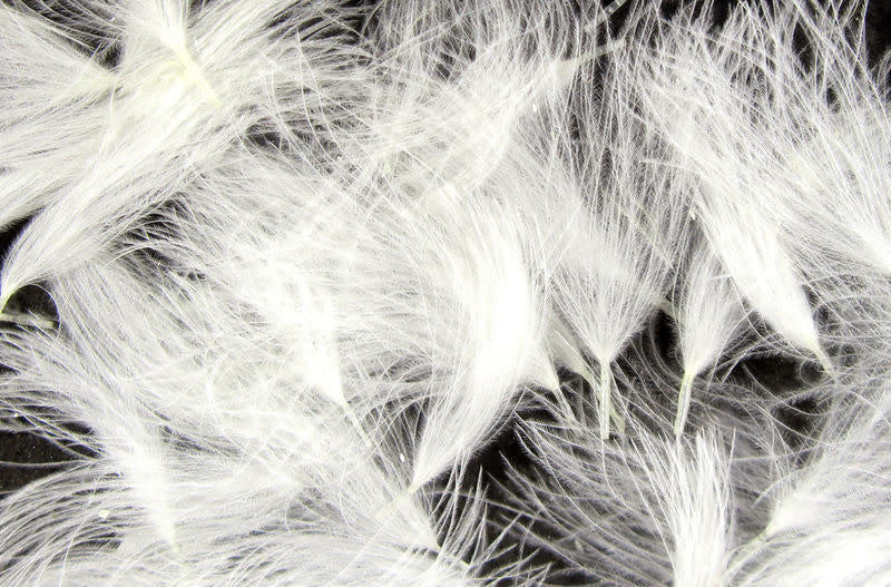 puff white