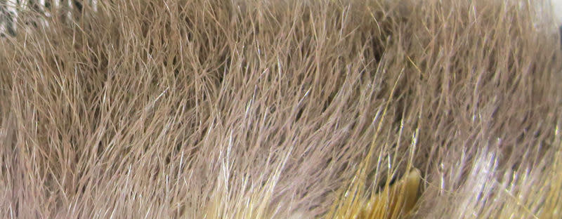 rabbit feet medium dun