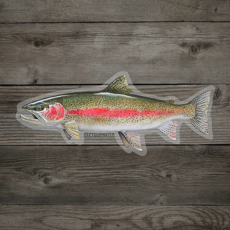 RepYourWater Cold Water Rainbow Sticker