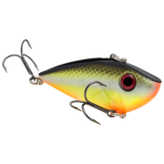 red eye shad 1-2 cgart baitfish