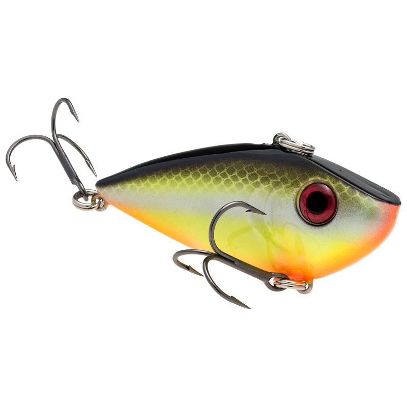 red eye shad 1-2 cgart baitfish