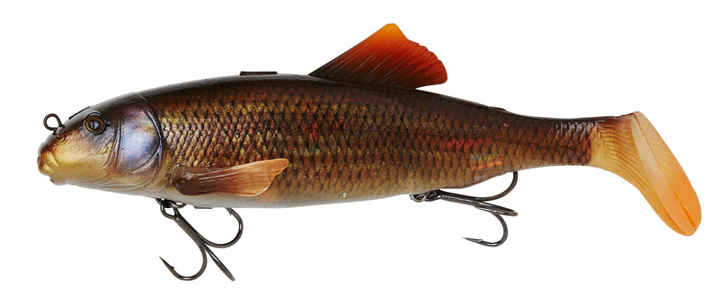 Red horse sucker 3862_