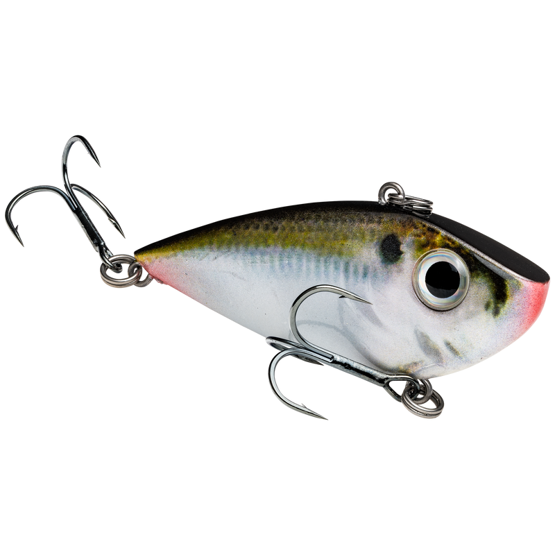 redeyeshad- natural shad