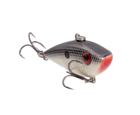 reyesdb-511_bitsyredeyedshadgizzardshad_main